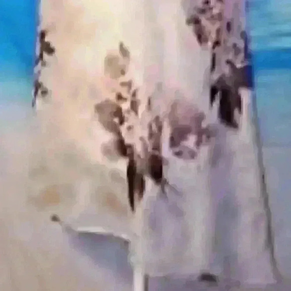 Woman Lightweight TUNIC Top SHEER Juniors High/Low GRAY & PURPLE Hem Shirt 1x XL - Picture 4 of 5